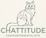Chattitude